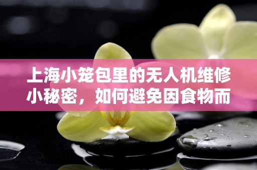 上海小笼包里的无人机维修小秘密，如何避免因食物而误操作？