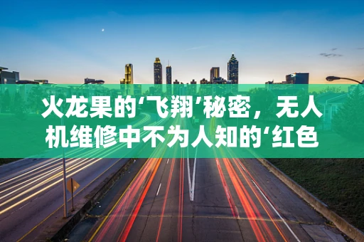 火龙果的‘飞翔’秘密，无人机维修中不为人知的‘红色’挑战