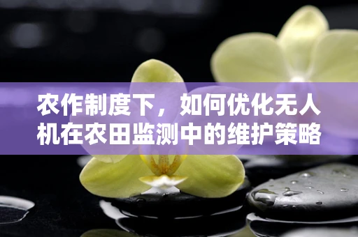 农作制度下，如何优化无人机在农田监测中的维护策略？