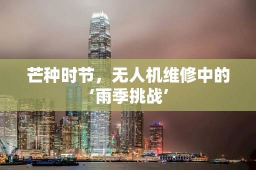 芒种时节，无人机维修中的‘雨季挑战’