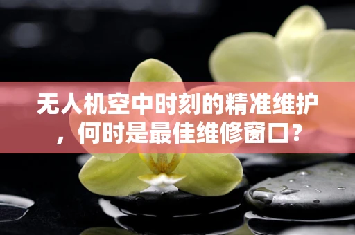 无人机空中时刻的精准维护，何时是最佳维修窗口？
