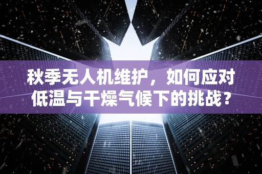 秋季无人机维护，如何应对低温与干燥气候下的挑战？