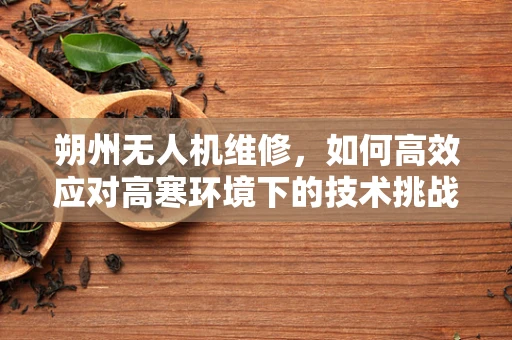 朔州无人机维修，如何高效应对高寒环境下的技术挑战？
