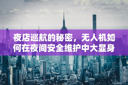 夜店巡航的秘密，无人机如何在夜间安全维护中大显身手？