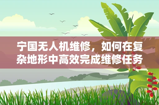 宁国无人机维修，如何在复杂地形中高效完成维修任务？