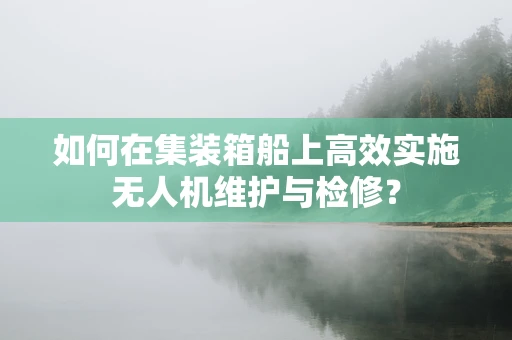 如何在集装箱船上高效实施无人机维护与检修？