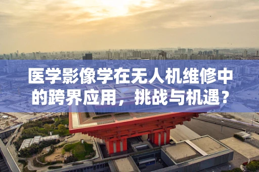 医学影像学在无人机维修中的跨界应用，挑战与机遇？