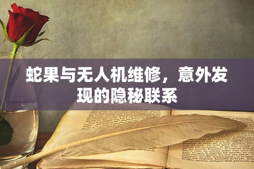 蛇果与无人机维修，意外发现的隐秘联系