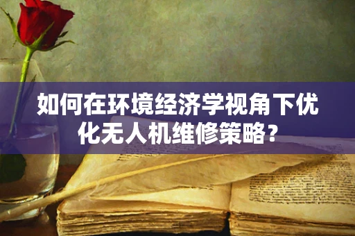 如何在环境经济学视角下优化无人机维修策略？