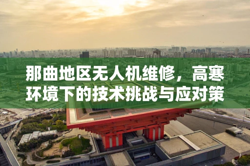 那曲地区无人机维修，高寒环境下的技术挑战与应对策略