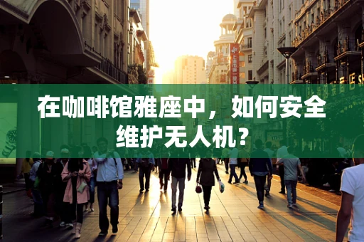 在咖啡馆雅座中，如何安全维护无人机？