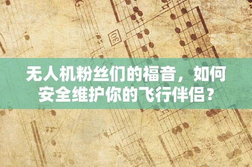 无人机粉丝们的福音，如何安全维护你的飞行伴侣？