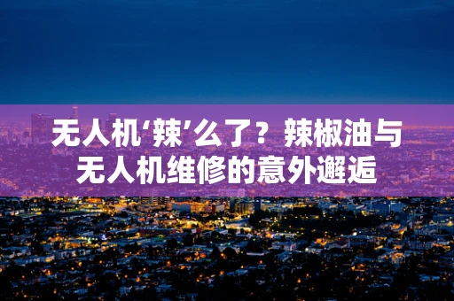 无人机‘辣’么了？辣椒油与无人机维修的意外邂逅
