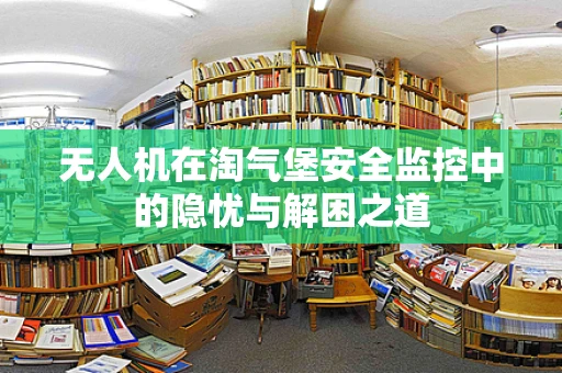 无人机在淘气堡安全监控中的隐忧与解困之道