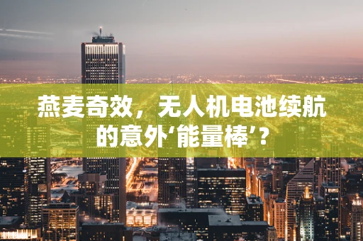 燕麦奇效，无人机电池续航的意外‘能量棒’？