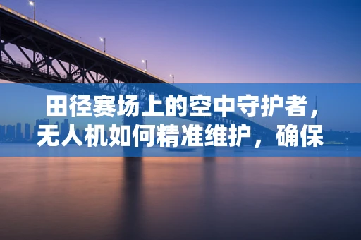 田径赛场上的空中守护者，无人机如何精准维护，确保比赛安全？