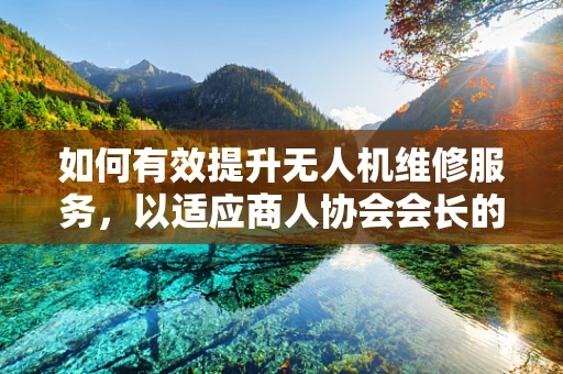 如何有效提升无人机维修服务，以适应商人协会会长的高标准需求？