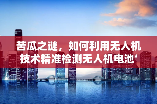 苦瓜之谜，如何利用无人机技术精准检测无人机电池‘苦味’隐患？