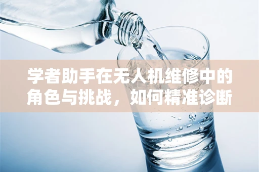 学者助手在无人机维修中的角色与挑战，如何精准诊断与高效支持？