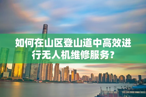 如何在山区登山道中高效进行无人机维修服务？