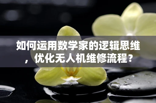 如何运用数学家的逻辑思维，优化无人机维修流程？