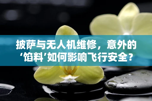 披萨与无人机维修，意外的‘馅料’如何影响飞行安全？