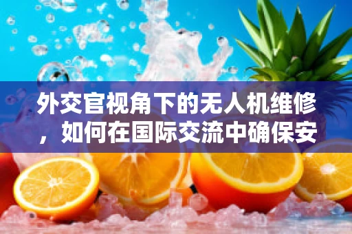 外交官视角下的无人机维修，如何在国际交流中确保安全飞行？