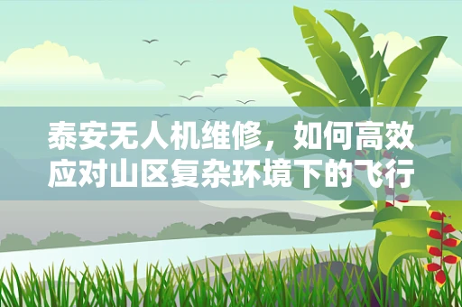 泰安无人机维修，如何高效应对山区复杂环境下的飞行故障？