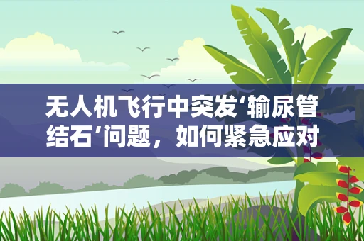 无人机飞行中突发‘输尿管结石’问题，如何紧急应对？