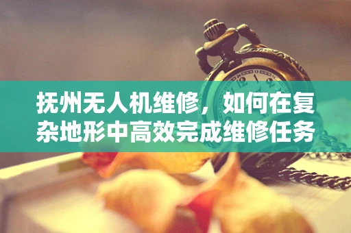 抚州无人机维修，如何在复杂地形中高效完成维修任务？