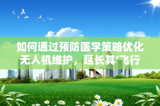 如何通过预防医学策略优化无人机维护，延长其‘飞行寿命’？