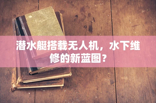 潜水艇搭载无人机，水下维修的新蓝图？