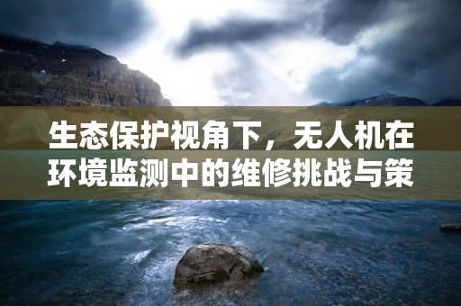 生态保护视角下，无人机在环境监测中的维修挑战与策略