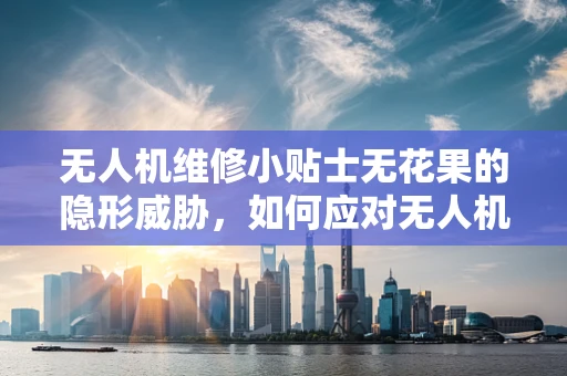 无人机维修小贴士无花果的隐形威胁，如何应对无人机螺旋桨上的果渍残留？