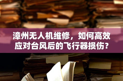漳州无人机维修，如何高效应对台风后的飞行器损伤？