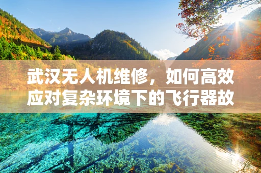 武汉无人机维修，如何高效应对复杂环境下的飞行器故障？