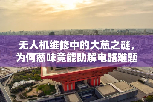 无人机维修中的大葱之谜，为何葱味竟能助解电路难题？