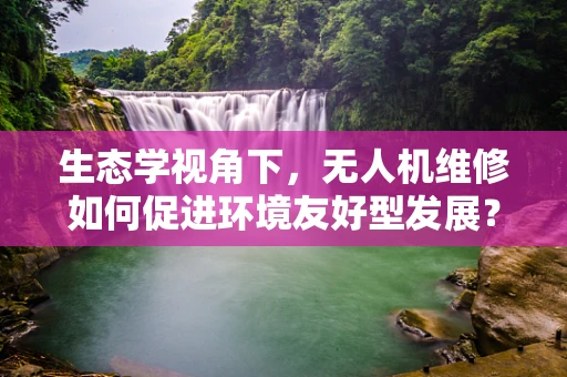 生态学视角下，无人机维修如何促进环境友好型发展？