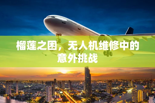 榴莲之困，无人机维修中的意外挑战