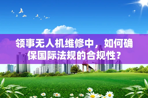 领事无人机维修中，如何确保国际法规的合规性？