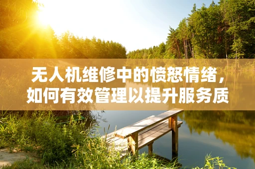 无人机维修中的愤怒情绪，如何有效管理以提升服务质量？