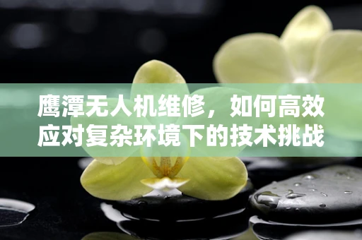 鹰潭无人机维修，如何高效应对复杂环境下的技术挑战？