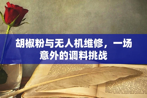 胡椒粉与无人机维修，一场意外的调料挑战