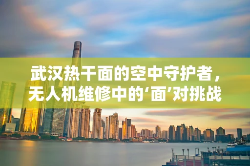 武汉热干面的空中守护者，无人机维修中的‘面’对挑战