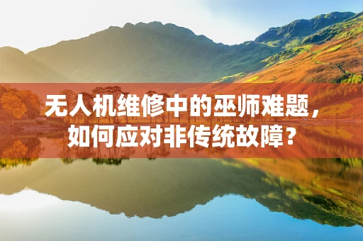 无人机维修中的巫师难题，如何应对非传统故障？