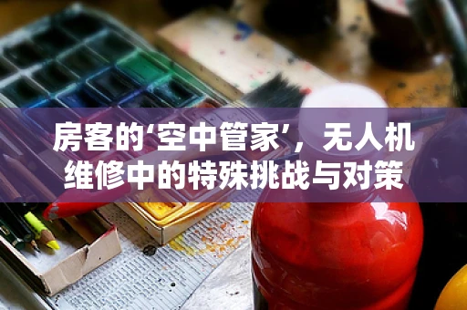 房客的‘空中管家’，无人机维修中的特殊挑战与对策