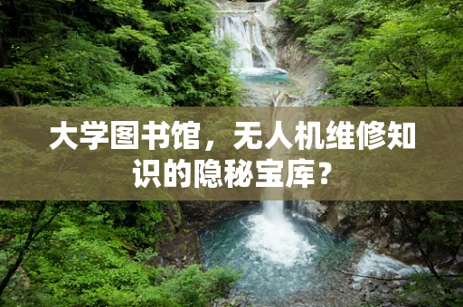 大学图书馆，无人机维修知识的隐秘宝库？