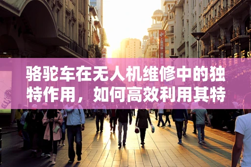 骆驼车在无人机维修中的独特作用，如何高效利用其特性进行故障排查？