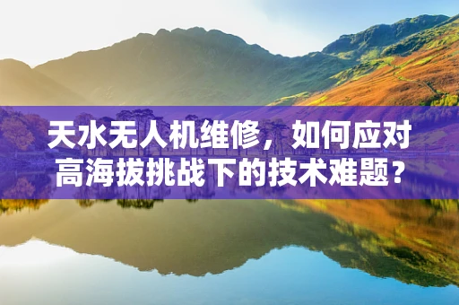 天水无人机维修，如何应对高海拔挑战下的技术难题？