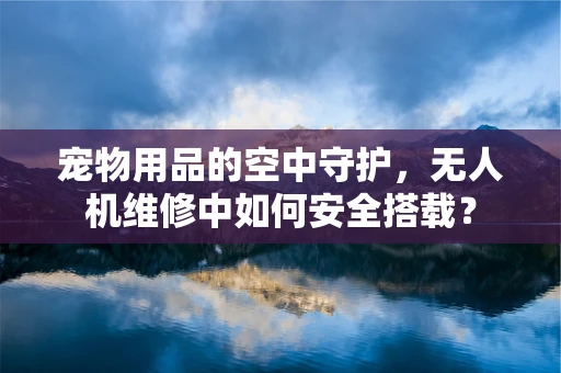 宠物用品的空中守护，无人机维修中如何安全搭载？